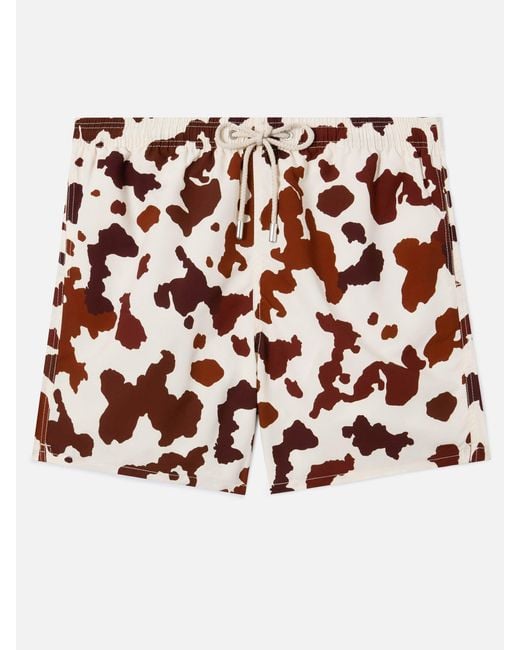 Mc2 Saint Barth Multicolor Gustavia Swim Shorts With Cow Print Swimshort for men