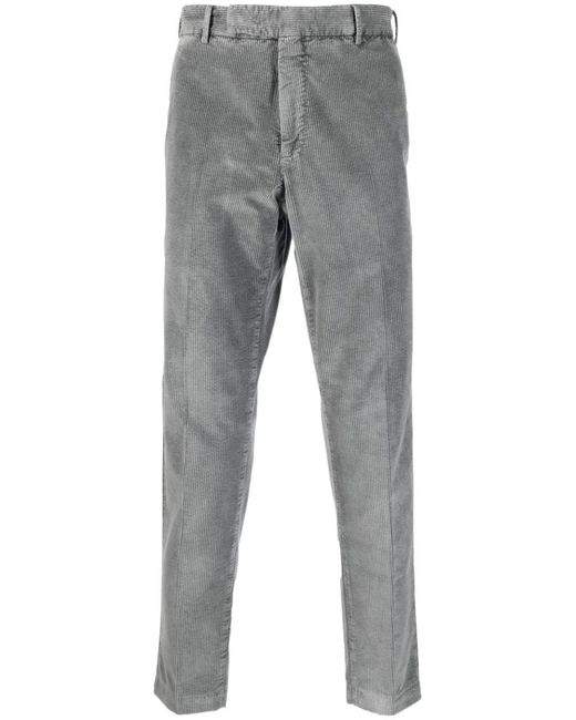 PT01 Cotton Pants in Gray for Men | Lyst