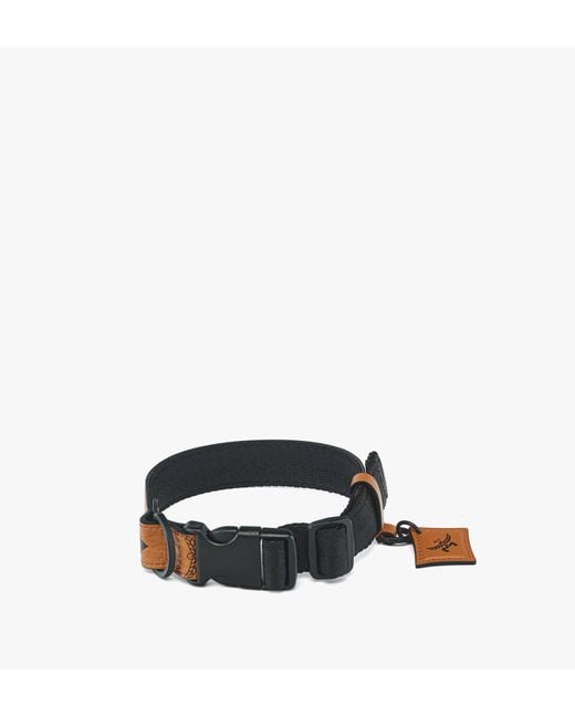 MCM Black Pet Collar And Crossbody Leash In Visetos