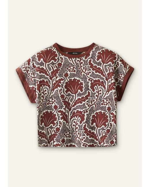 ME+EM White Rising Wildflowers Print Relaxed Tee Cinnamon Multi