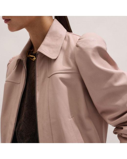 ME+EM Brown Luxe Feminine Bomber Jacket