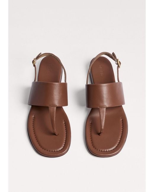 ME+EM Brown Toe-Post Sandal