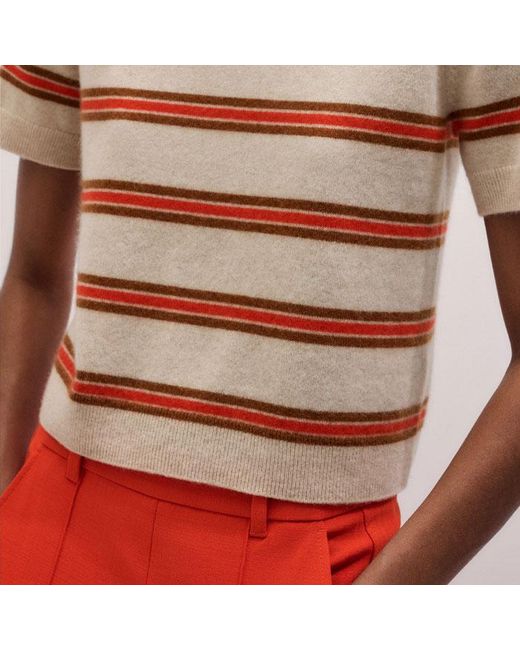 ME+EM Red Cashmere Stripe Crop Knit Tee