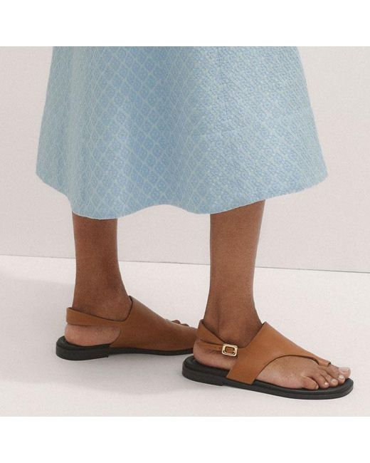 ME+EM Blue Italian Jacquard Fit And Flare Midi Dress
