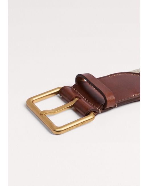 ME+EM Multicolor Wide Elastic Webbing Belt Cream--Tan