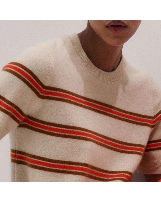 ME+EM Red Cashmere Stripe Crop Knit Tee