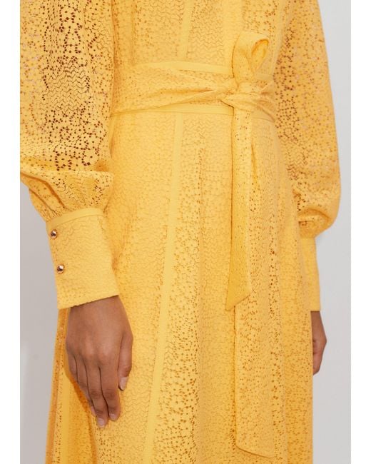 yellow lace fit and flare dress Belle Lace Trim Corset Mini Dress
