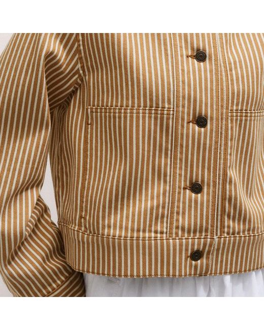 ME+EM Brown Cotton Denim Stripe Jacket