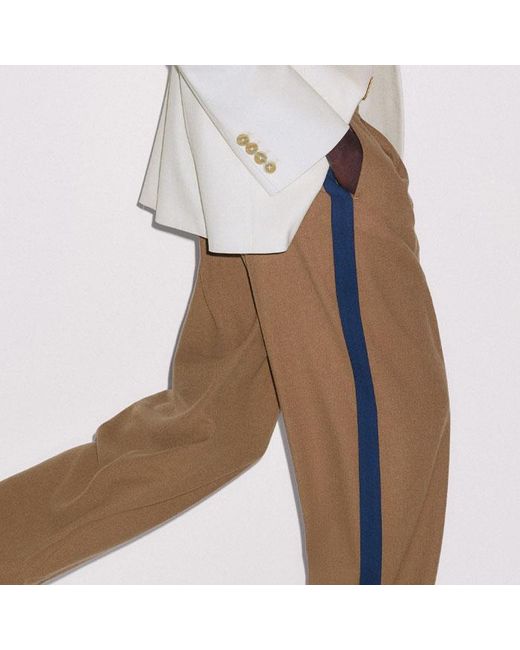 ME+EM Brown Straight Pleat Front Trouser