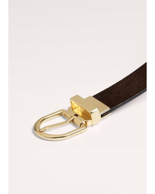 ME+EM Multicolor Eyelet Reversible Belt