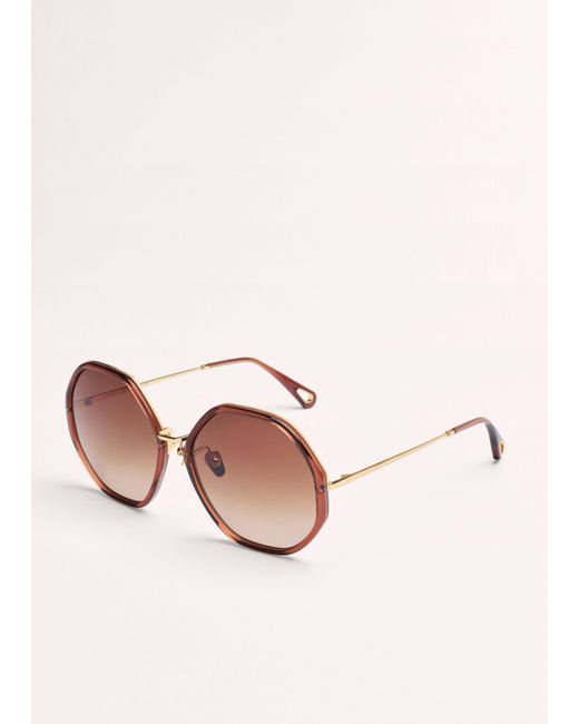 ME+EM Brown Heptagonal Frame Sunglasses