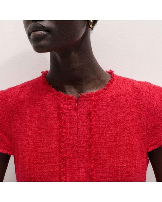 ME+EM Red Fringe Detail Fit And Flare Midi Dress Rose Petal