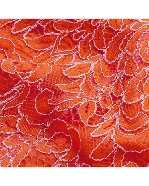 ME+EM Orange Two Tone Lace Fit & Flare Full Length Dress + Slip