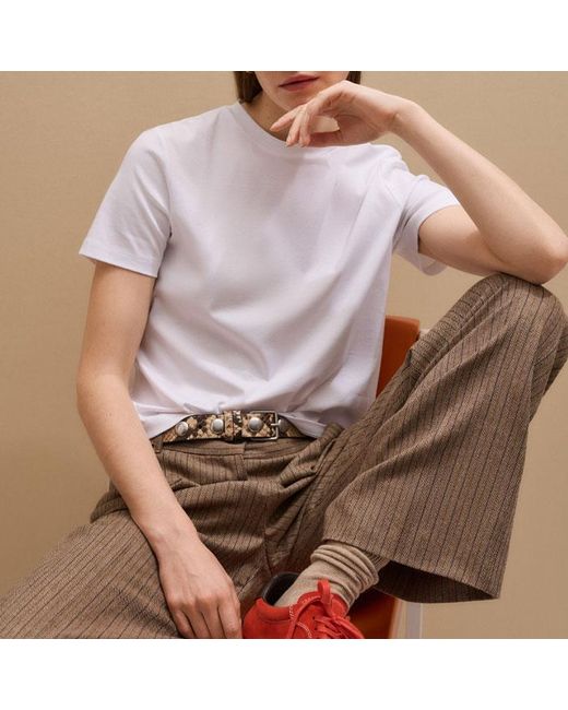 ME+EM Brown Straight Pinstripe Pleat Front Pant Mocha
