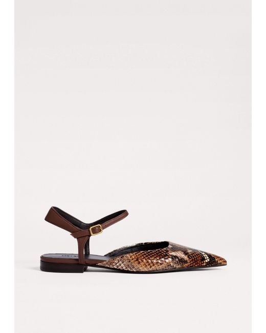 ME+EM Natural Point-Toe Flat Tan-Chocolate