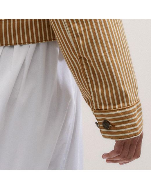 ME+EM Brown Cotton Denim Stripe Jacket