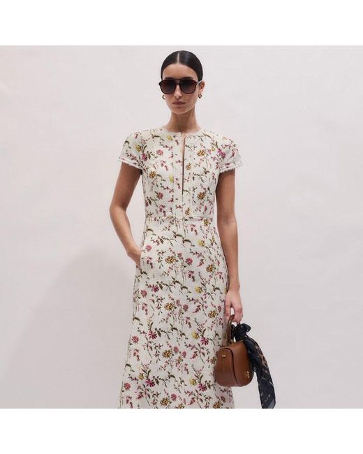 ME+EM Multicolor Wild Spring Floral Print Fit & Flare Midi Dress
