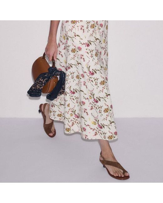 ME+EM Multicolor Wild Spring Floral Print Fit & Flare Midi Dress