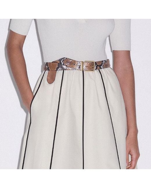 ME+EM Multicolor Mixed Media Fit And Flare Midi Dress + Belt Light Cream