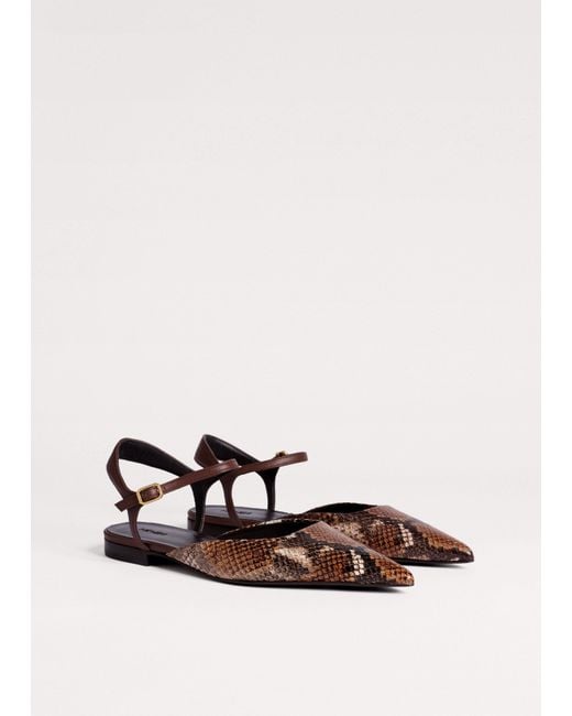 ME+EM Natural Point-Toe Flat Tan-Chocolate