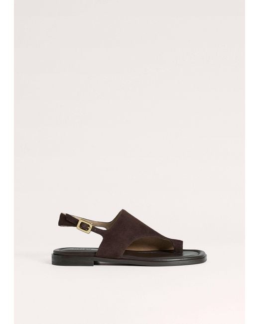 ME+EM Brown Asymmetric Toe Loop Sandal