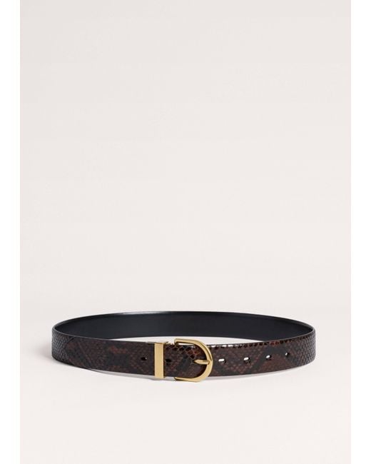 ME+EM Black 30Mm Round Buckle Reversible Belt Chocolate