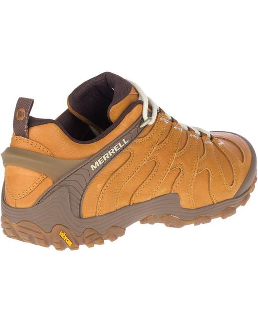 merrell cham 7 slam luna porter