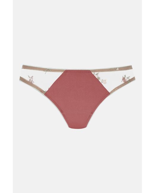Mey Pink Brasil Serie Poetry Bloom & Memory Java