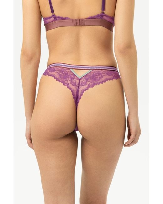 Mey Purple String Serie Poetry Style Java