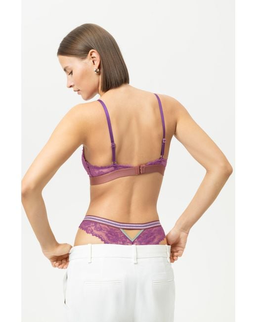 Mey Purple String Serie Poetry Style Java