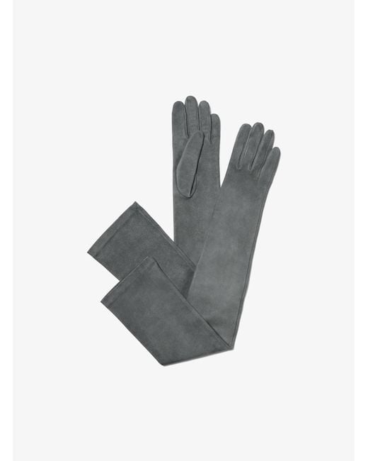 Michael Kors Blue Suede Opera Gloves
