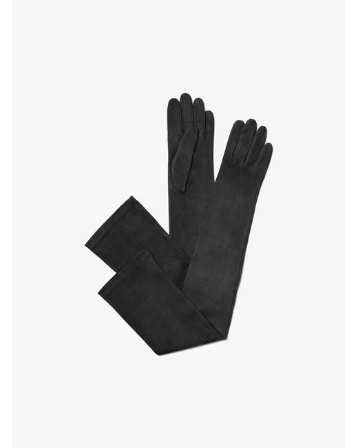 Michael Kors Black Suede Opera Gloves