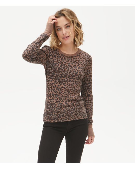 michael stars juliet thermal