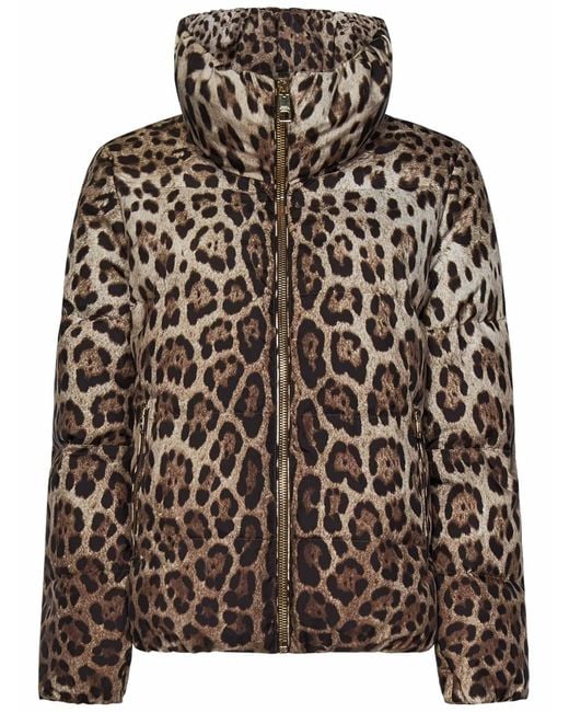 Dolce & Gabbana Brown Down Jacket