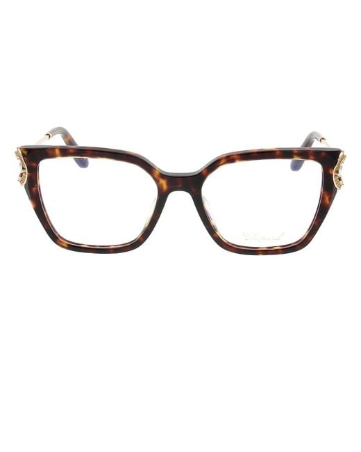 Chopard Brown Glasses
