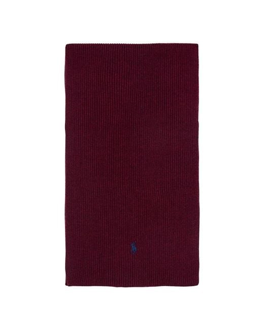 Polo Ralph Lauren Purple Winter Scarves for men
