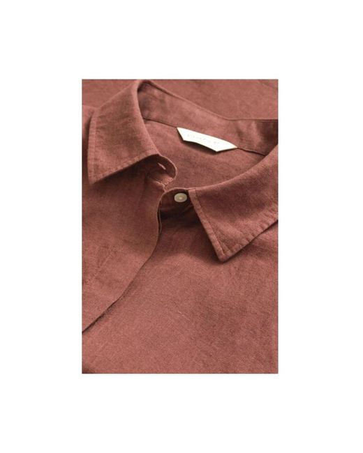 Shirts Gant de color Brown