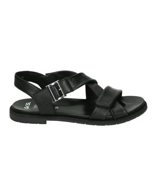 Ara Black Elba-S