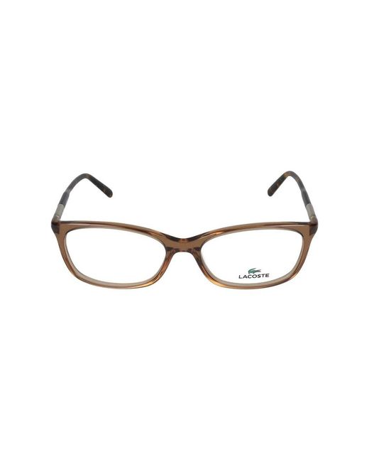 Lacoste Brown Glasses