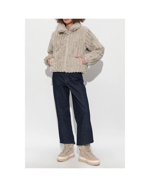 Save The Duck Winter Jackets in het Gray