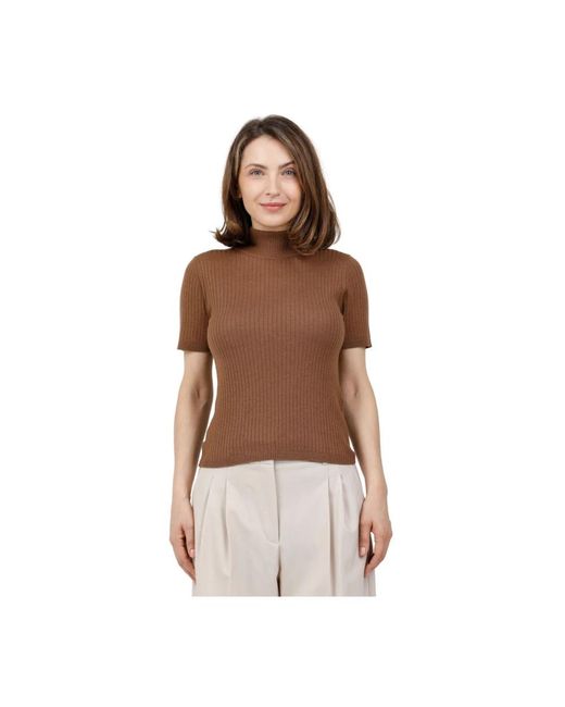 Max Mara Truien & Vesten ,Bruin ,Wol Maglia Dolcevita in het Brown