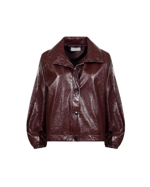 Light Jackets Ame en coloris Brown