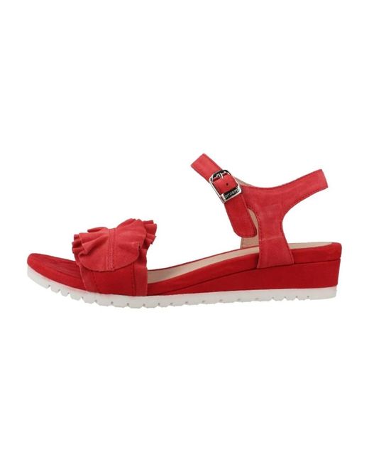 Stonefly Wedges in het Red