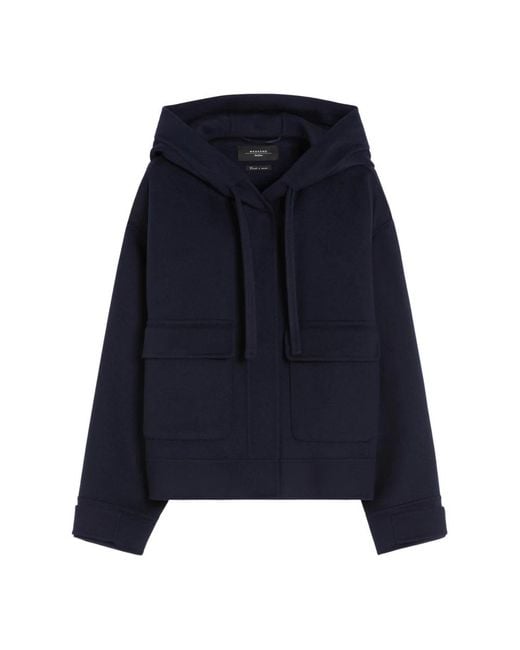 Weekend by Maxmara Blue Hoodies