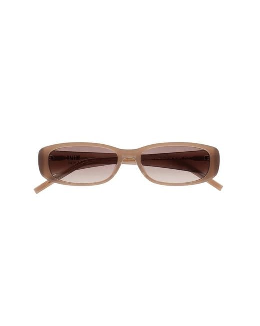 Kaleos Eyehunters Brown Sunglasses