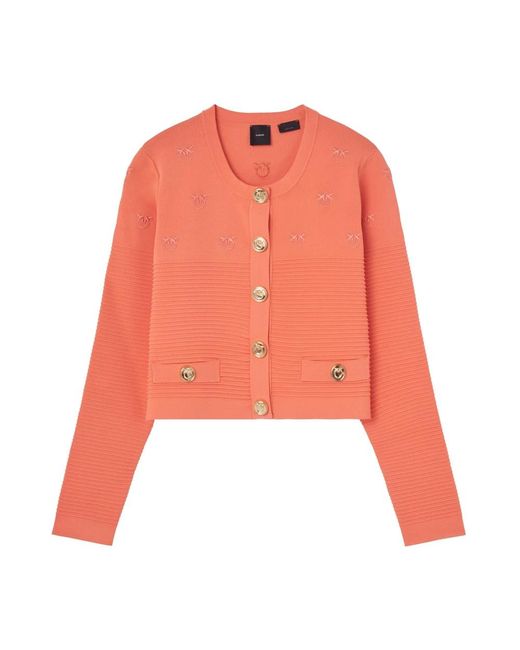 Pinko Truien & Vesten ,Roze ,Cardigan in het Orange
