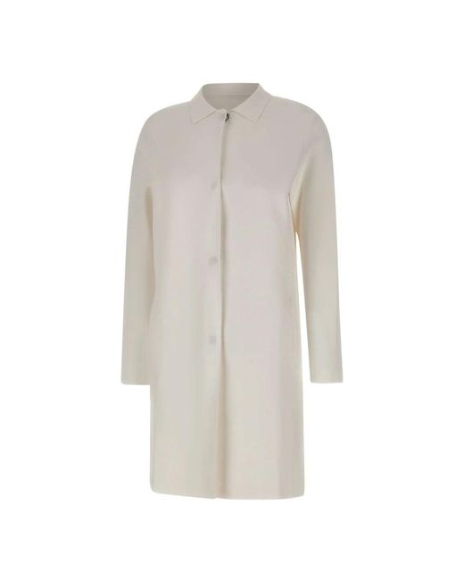 Kangra Jassen Wit in het White