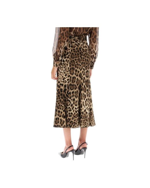 Skirts > midi skirts Dolce & Gabbana en coloris Brown