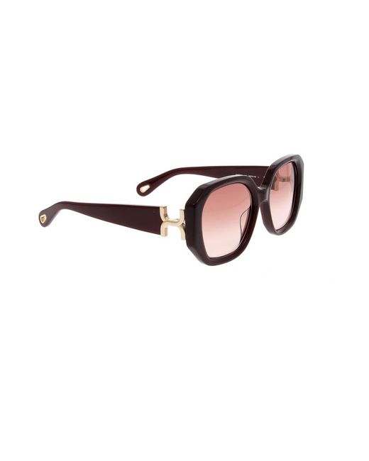 Chloé Brown Sunglasses