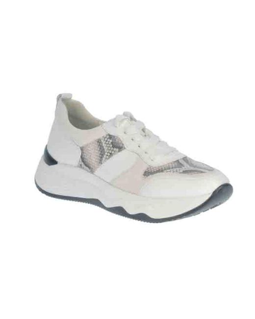 Gabor Suède Sneakers 43.490.24 Snake in het Grijs - Lyst